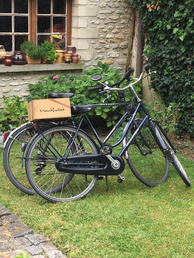 Au Fil De L'Eau & Gite "Le Jardin Du Moulin" Fourges Eksteriør billede